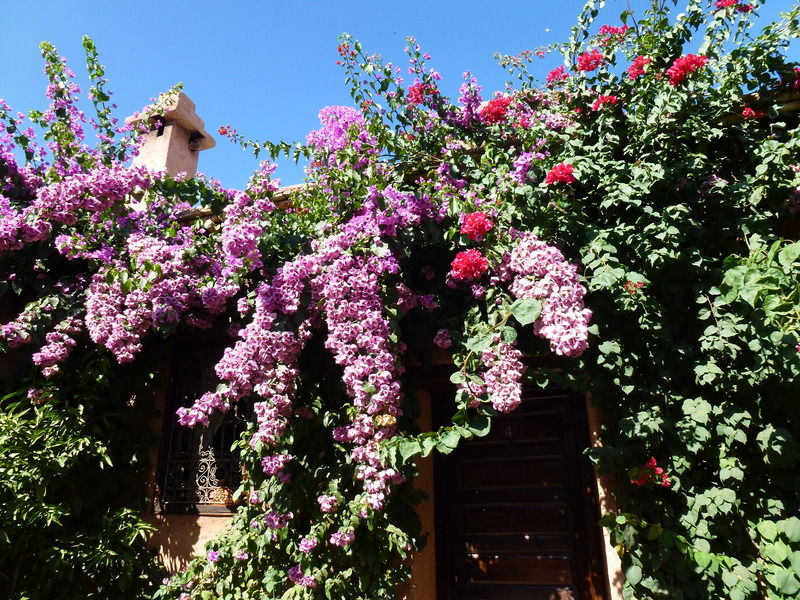 Auberge Chez Momo II Ouirgane Kültér fotó